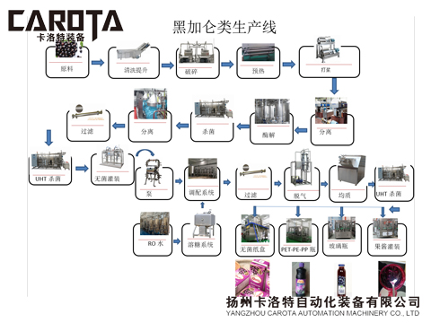 黑加仑深加工生产线