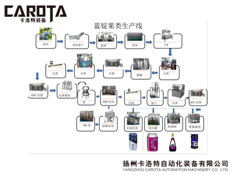 23蓝锭果深加工生产线